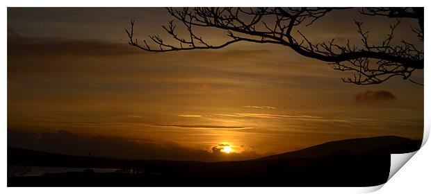 Golden light in Dingle Print by barbara walsh