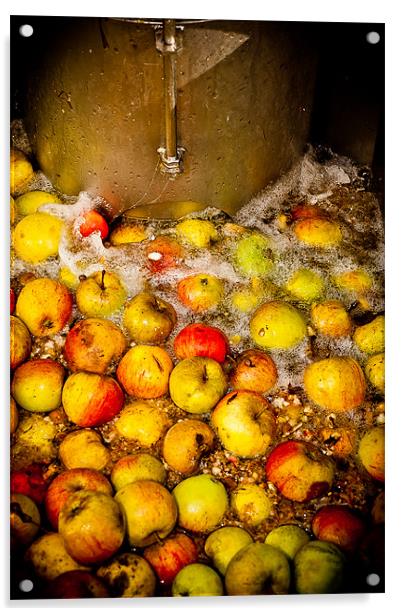 Washing Cider Apples Acrylic by Mark Llewellyn