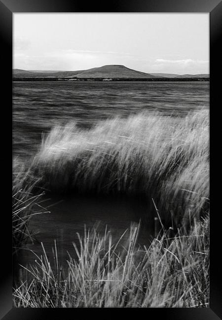 Sugarloaf brecon beacons mono Framed Print by simon powell