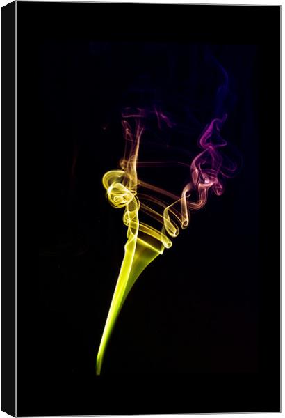 Olympic Torch Canvas Print by Steve Purnell