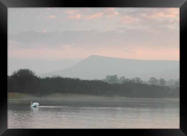 dawn on llangorse lake brecon beacons Framed Print by simon powell