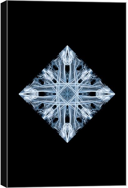 Snowflake 1 Canvas Print by Steve Purnell