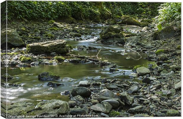 River Bed Canvas Print by George Davidson