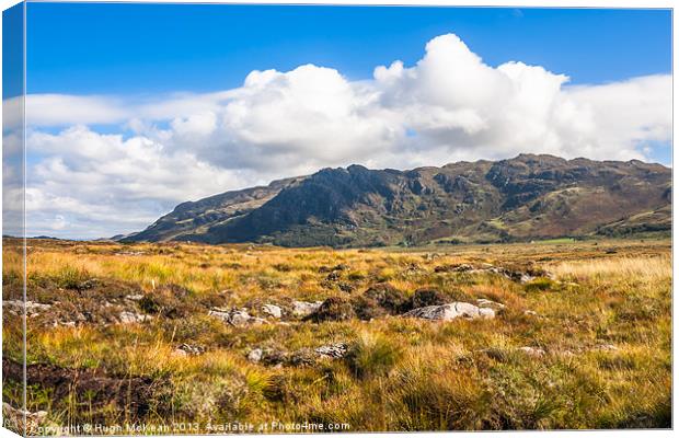 View over the moss of Mointeach Mhor to Sgurr an t Canvas Print by Hugh McKean