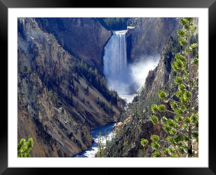 Upper Falls, Yellowstone Park, U.S.A. Framed Mounted Print by Andy Gilfillan