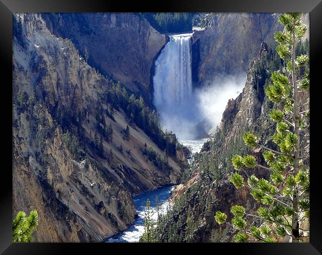 Upper Falls, Yellowstone Park, U.S.A. Framed Print by Andy Gilfillan