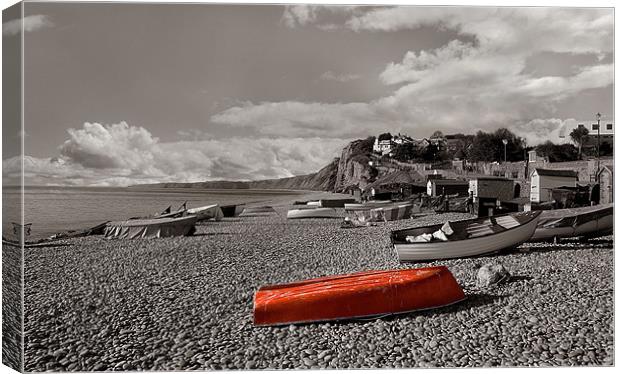 Budleigh beach Canvas Print by Malcolm Smith