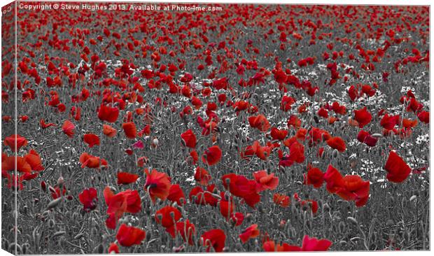 Poppy field selective colouring Canvas Print by Steve Hughes