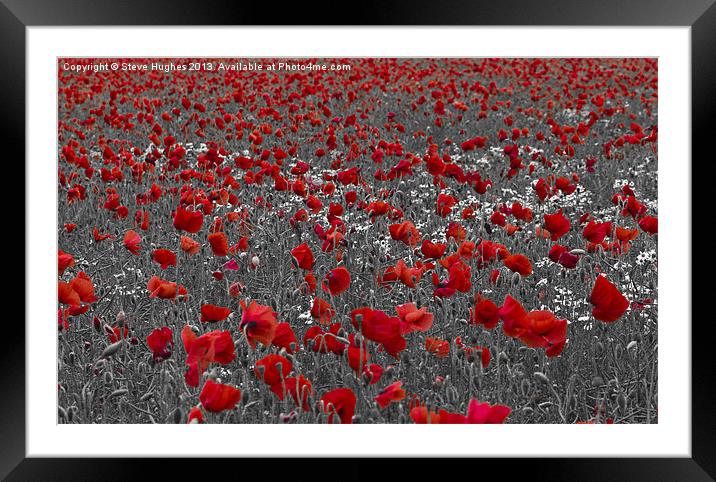 Poppy field selective colouring Framed Mounted Print by Steve Hughes
