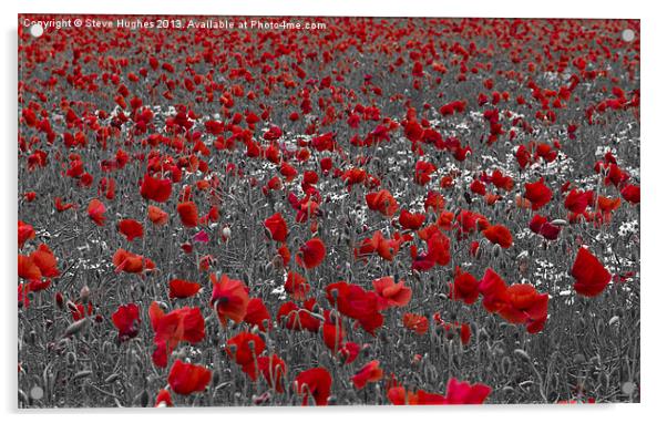 Poppy field selective colouring Acrylic by Steve Hughes