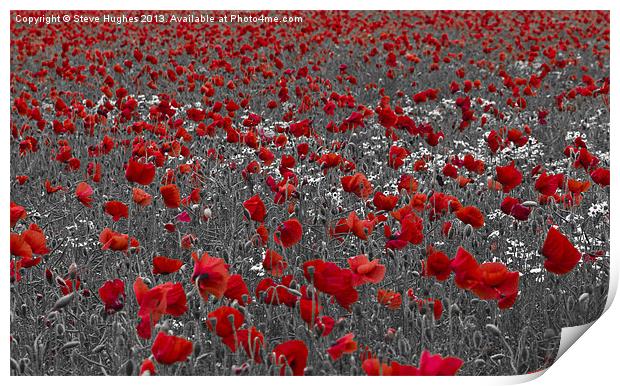 Poppy field selective colouring Print by Steve Hughes