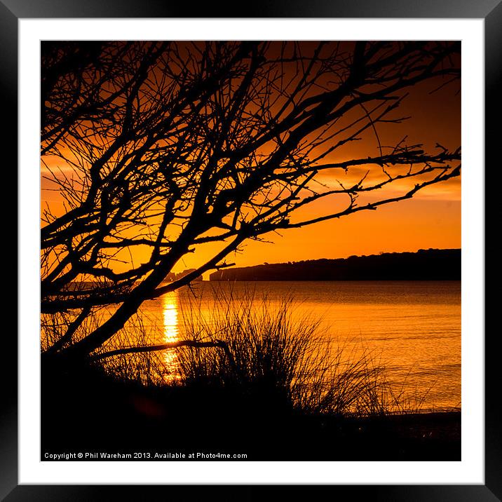 Sun behind the tree Framed Mounted Print by Phil Wareham
