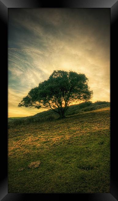 Alone No More Framed Print by Michael Baldwin