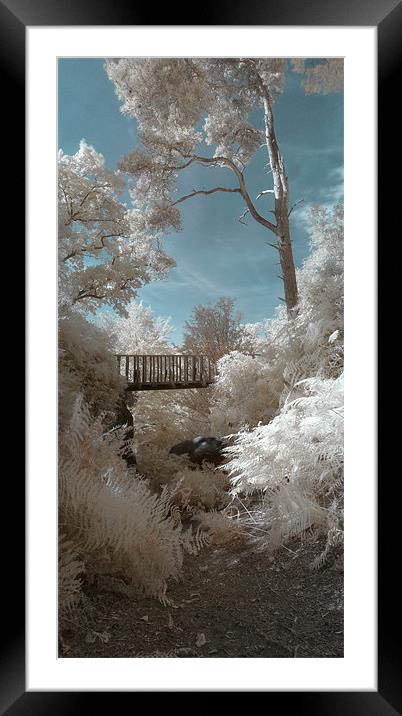 High Rocks Bridge Framed Mounted Print by Michael Baldwin