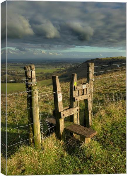 Stile with Style Canvas Print by Michael Baldwin