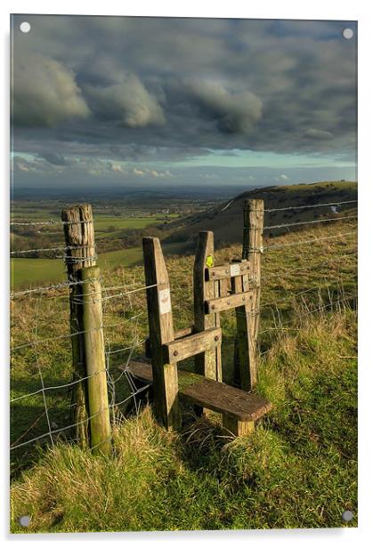 Stile with Style Acrylic by Michael Baldwin