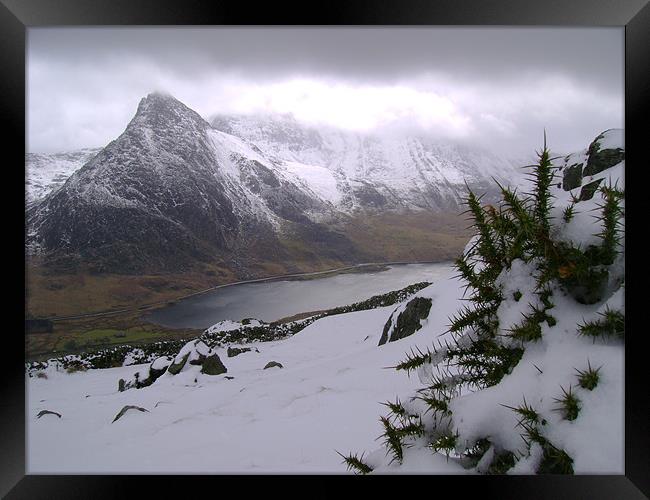 Tryfan  Framed Print by Lizzie Hobbs