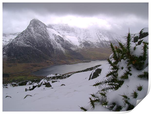 Tryfan  Print by Lizzie Hobbs