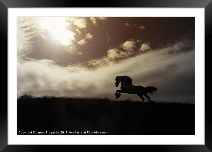 Stallion Framed Mounted Print by J Biggadike