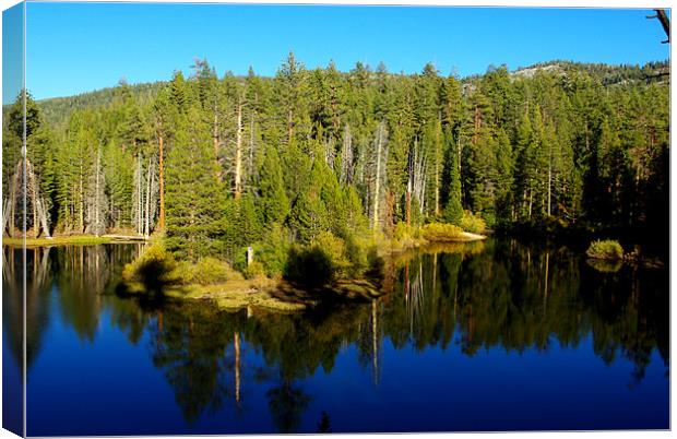 Beautiful pond in the forest Canvas Print by Claudio Del Luongo