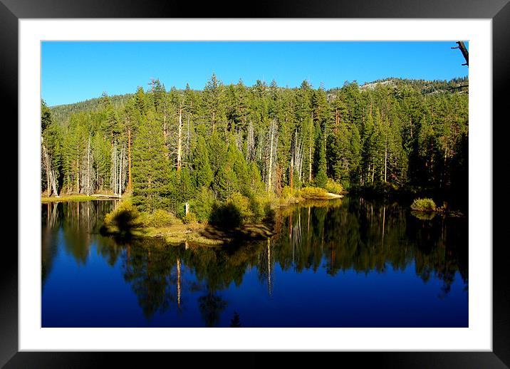 Beautiful pond in the forest Framed Mounted Print by Claudio Del Luongo