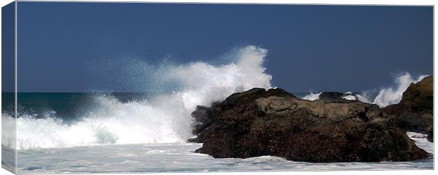 Surf on the Rocks  Canvas Print by james balzano, jr.