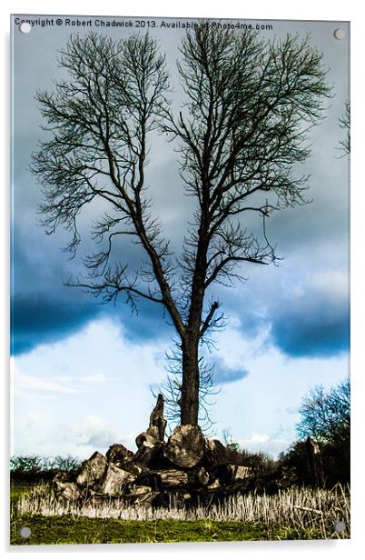 Tree in logs Acrylic by Robert Chadwick