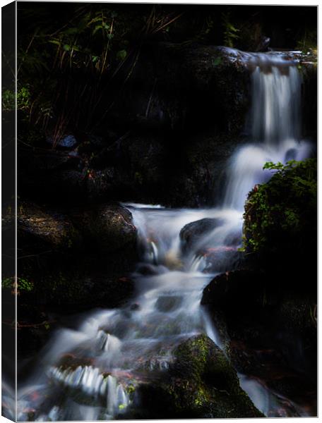Night Falls Canvas Print by Simon West