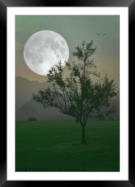 MOONLIGHT ON THE PLAINS Framed Mounted Print by Tom York