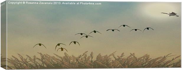 In Flight Sillouettes. Canvas Print by Rosanna Zavanaiu