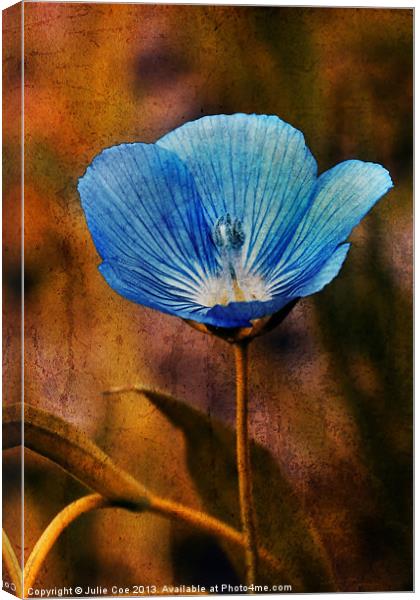 Flower Blue Canvas Print by Julie Coe