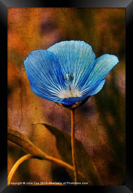 Flower Blue Framed Print by Julie Coe