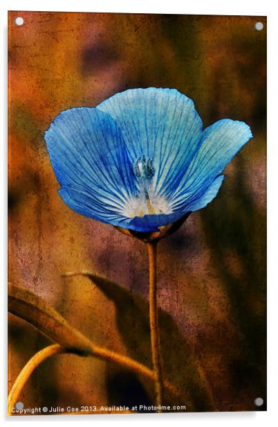 Flower Blue Acrylic by Julie Coe