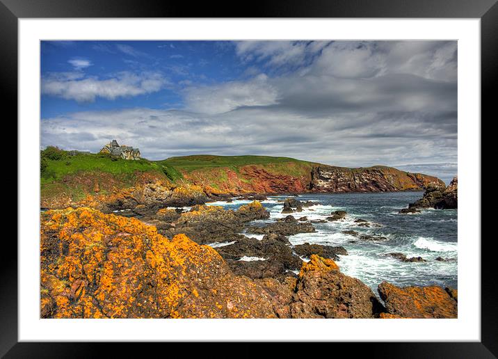 St Abbs Head Framed Mounted Print by Tom Gomez