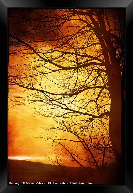 Misty Red Framed Print by Alexia Miles