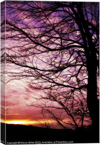 Winter sunset Canvas Print by Alexia Miles