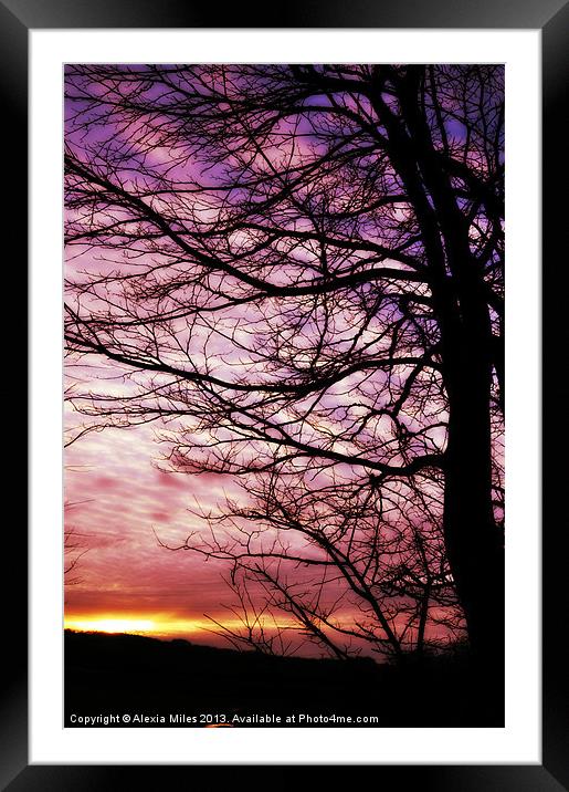 Winter sunset Framed Mounted Print by Alexia Miles