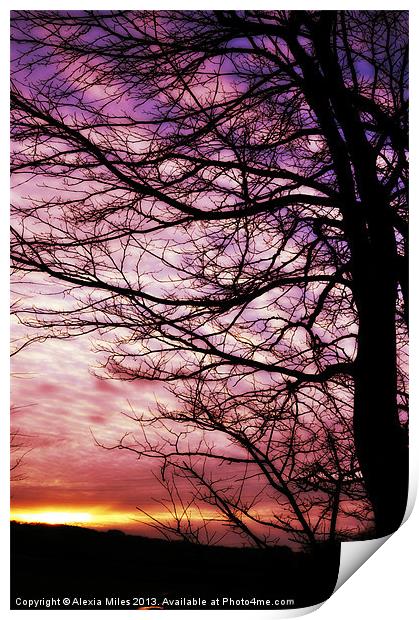 Winter sunset Print by Alexia Miles