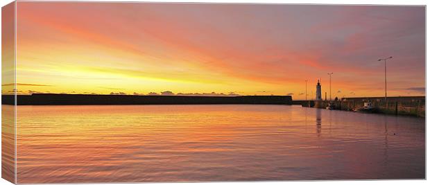 Anstruther Harbour Canvas Print by Bob Legg