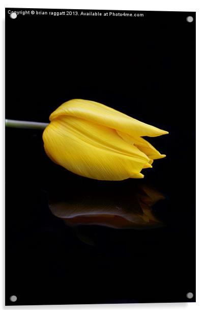Yellow and Black Acrylic by Brian  Raggatt