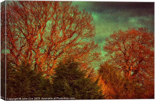 Trees, Trees, Trees Canvas Print by Julie Coe