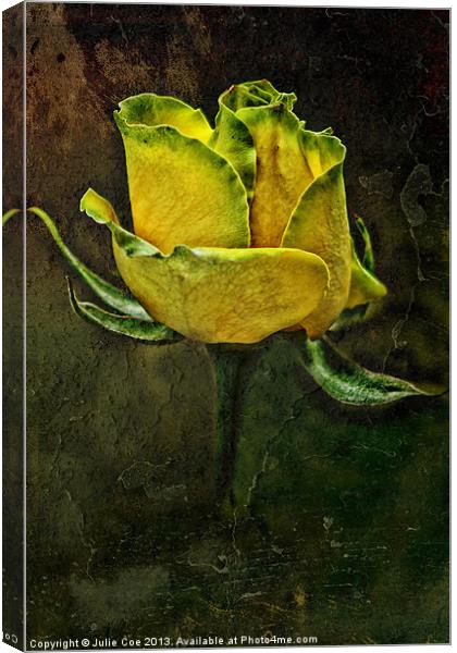 Rose Of Yellow Canvas Print by Julie Coe