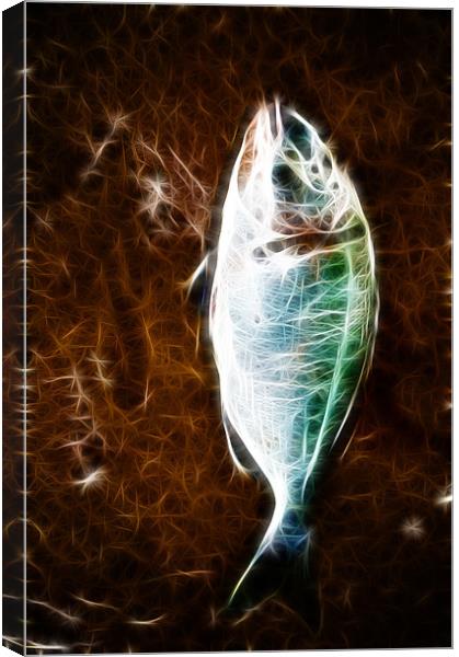 Fish Phone Case Canvas Print by Dave Wilkinson North Devon Ph
