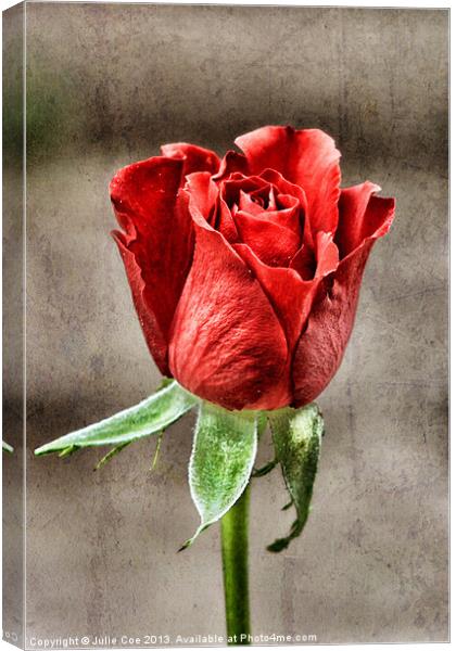 Red Rose Red Canvas Print by Julie Coe