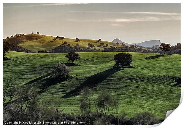 Wheatfields in Cadiz Print by Gary Miles