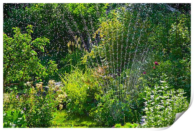 Watering the garden in summer Print by Kathleen Smith (kbhsphoto)