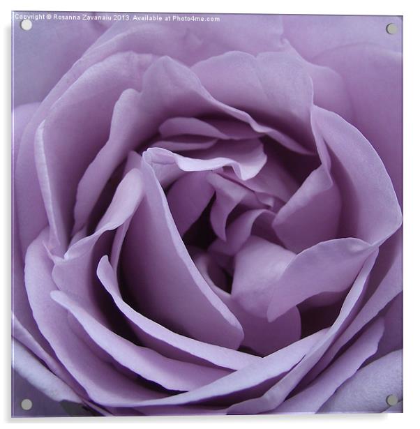 Purple Petals Acrylic by Rosanna Zavanaiu