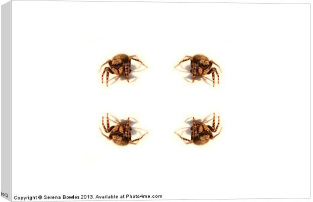 Arachnophobes Nightmare Canvas Print by Serena Bowles