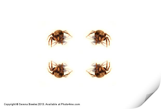 Arachnophobes Nightmare Print by Serena Bowles