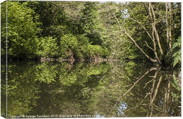 Symmetry Canvas Print by George Davidson